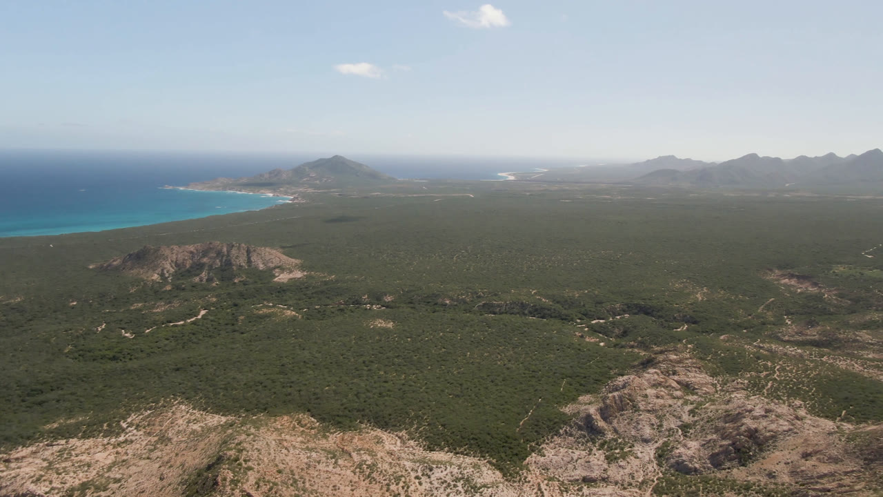 Opening aerial frame over Cabo Pulmo, Baja California Sur, with rocky foreground, dense green terrain, blue ocean at left, distant mountains, pale sky, and no visible people.