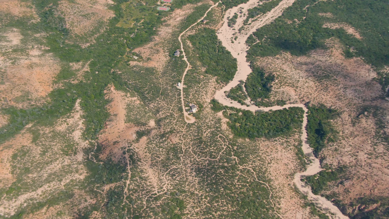 High aerial view of a dry river wash beside darker vegetation patches.