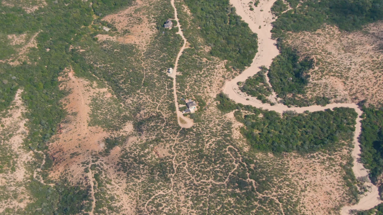A high aerial view in San Jose Del Cabo, Mexico, frames a winding pale road, dense green brush patches, exposed tan soil, and no visible people.