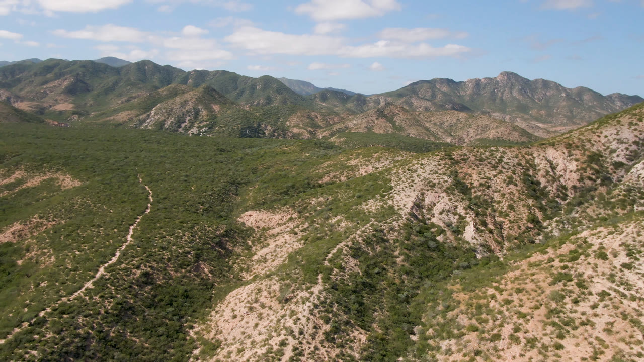 Aerial view over Cabo Pulmo desert hills with a pale trail crossing green vegetation toward distant mountains, under blue sky with no visible people.