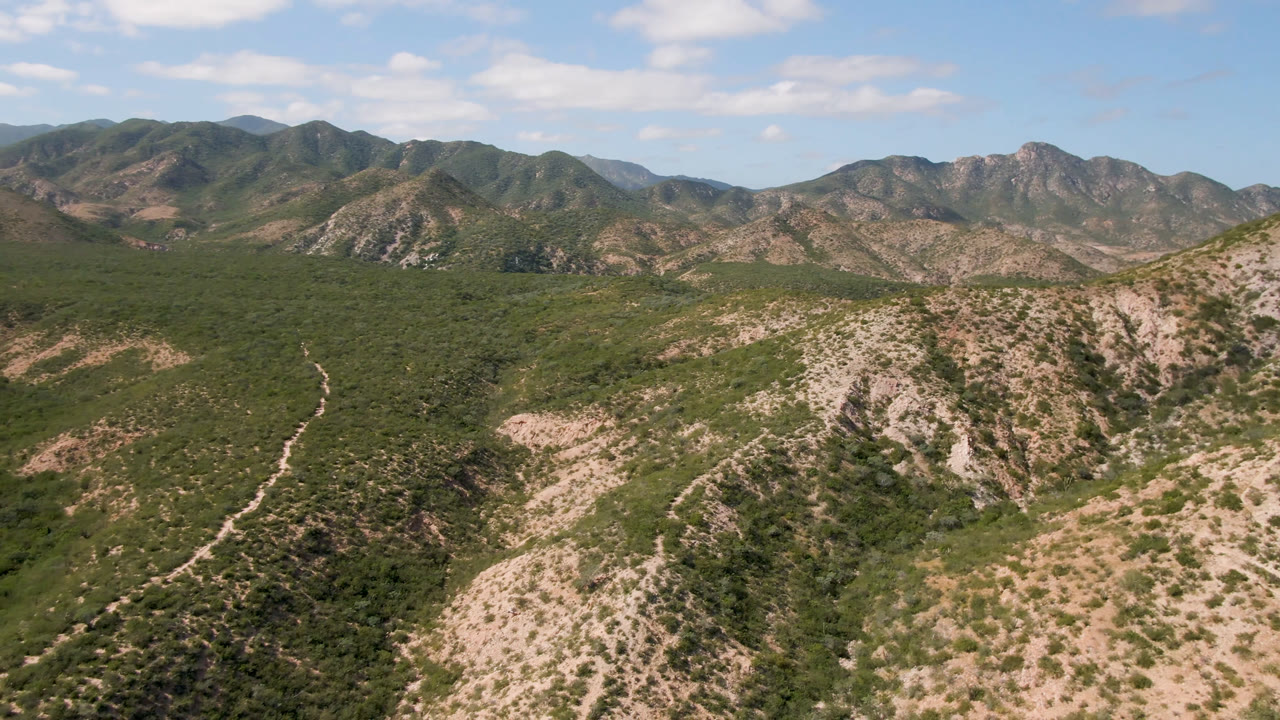 High aerial frame in Cabo Pulmo showing green desert vegetation, tan rocky slopes, a faint trail line, and a broad mountain horizon with no visible people.