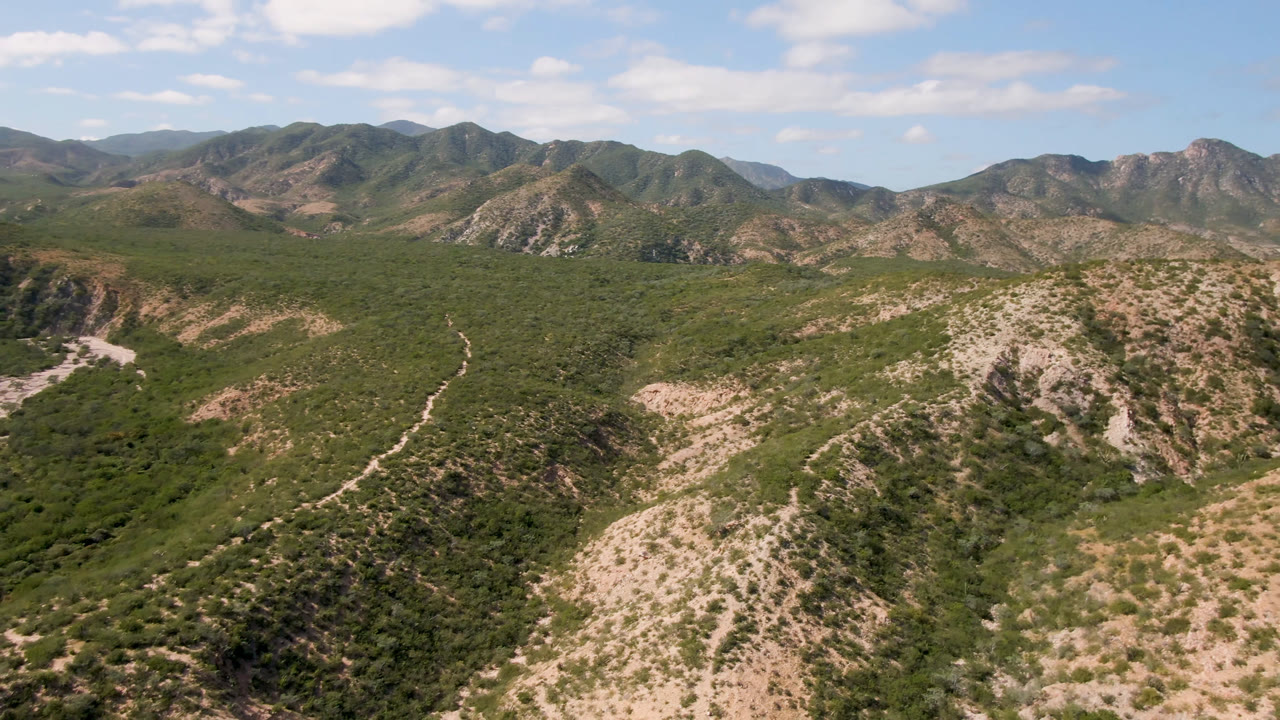 Wide aerial frame over Cabo Pulmo desert ridges, with green scrub, rocky slopes, a pale winding road or dry wash, blue sky, and no visible people.
