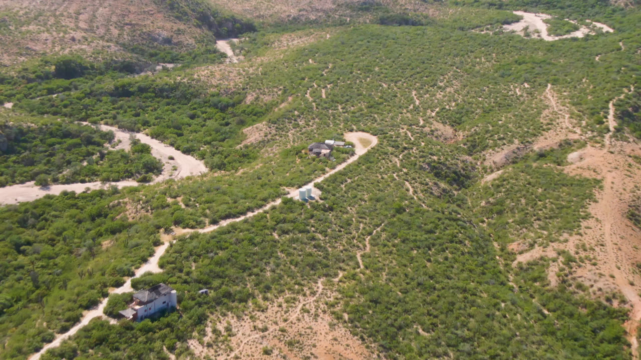 Aerial view in Cabo Pulmo, Baja California Sur with a curving dirt road crossing the center, green vegetation on the hills, exposed tan slopes, and no visible people.
