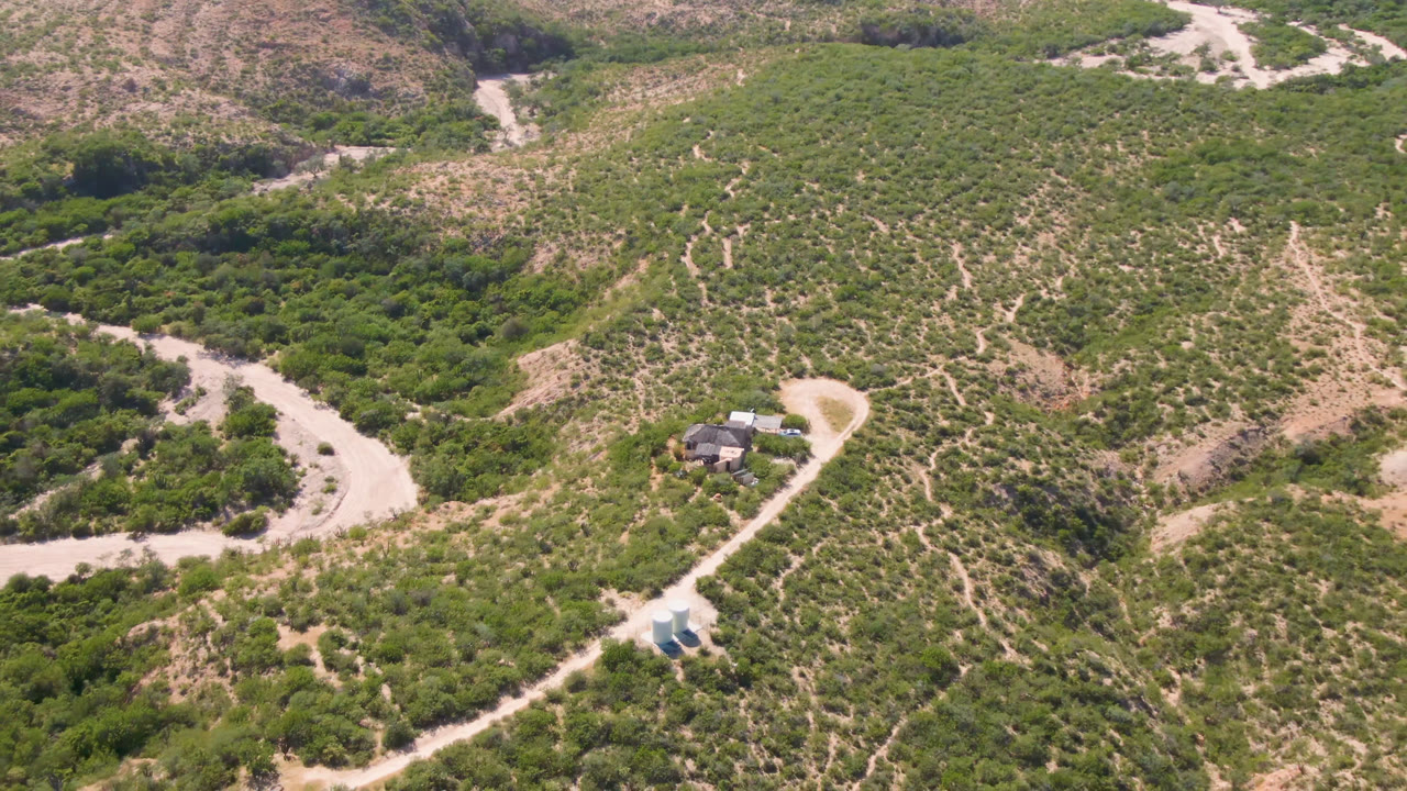 Drone view over Cabo Pulmo terrain with the curved road crossing the lower frame, dense green brush along a wash, tan slopes, and no visible people.