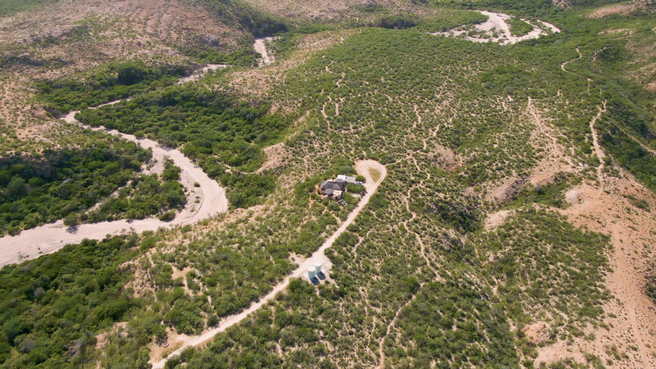 High drone view in Cabo Pulmo with the dirt road bending past dense green trees, scrub-covered slopes, a small roadside structure, and no visible people.