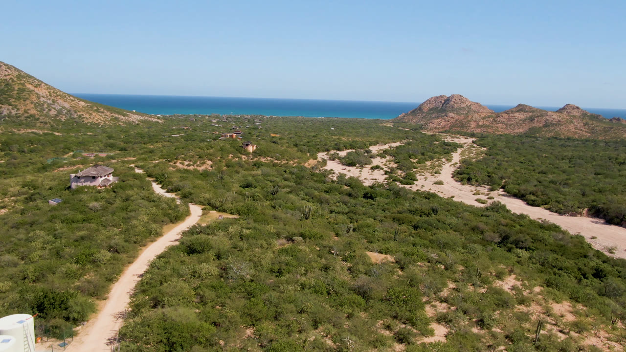 Cabo Pulmo aerial view with winding dirt tracks through green desert vegetation, low rocky hills to the right, the ocean beyond, and no visible people.