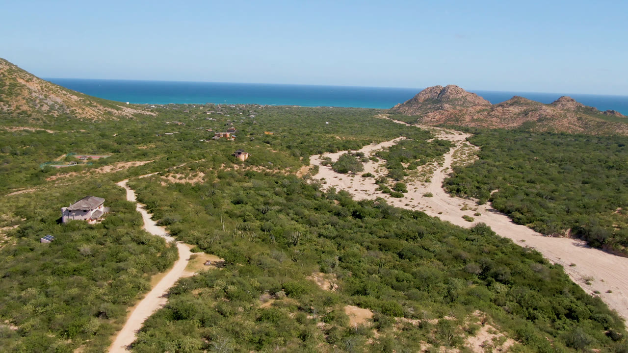 Aerial view in Cabo Pulmo with the winding road lower left, dense green scrub across the valley floor, rocky hills beyond, ocean on the horizon, and no visible people.