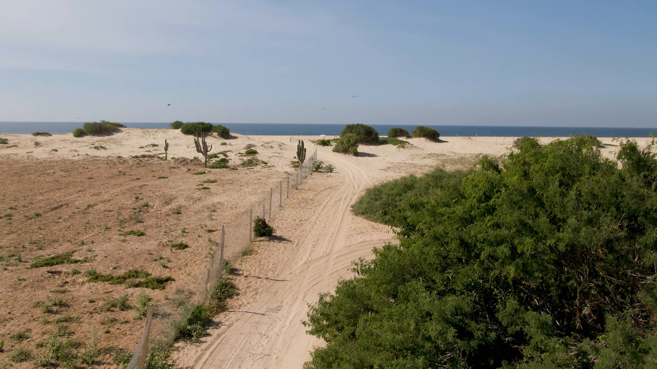 Sandy dirt road beside a fence with ocean on the horizon.