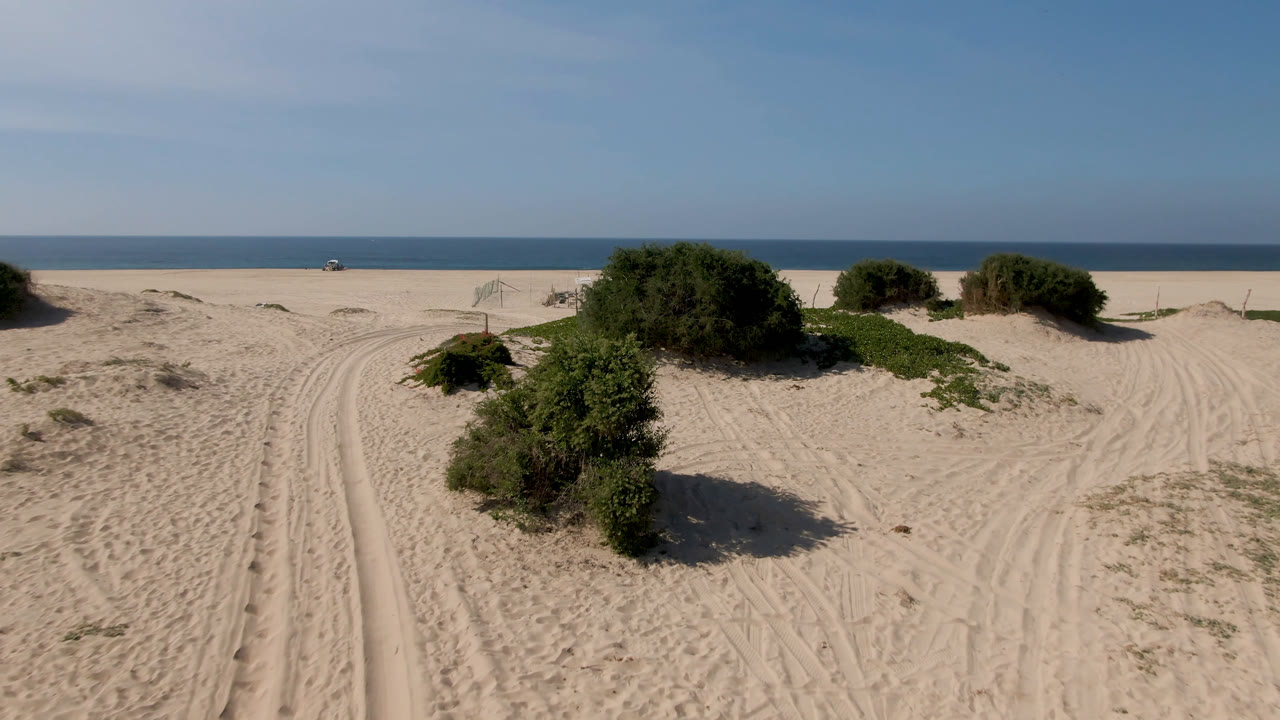 Sandy beach tracks, green shrubs, and ocean horizon under bright daylight