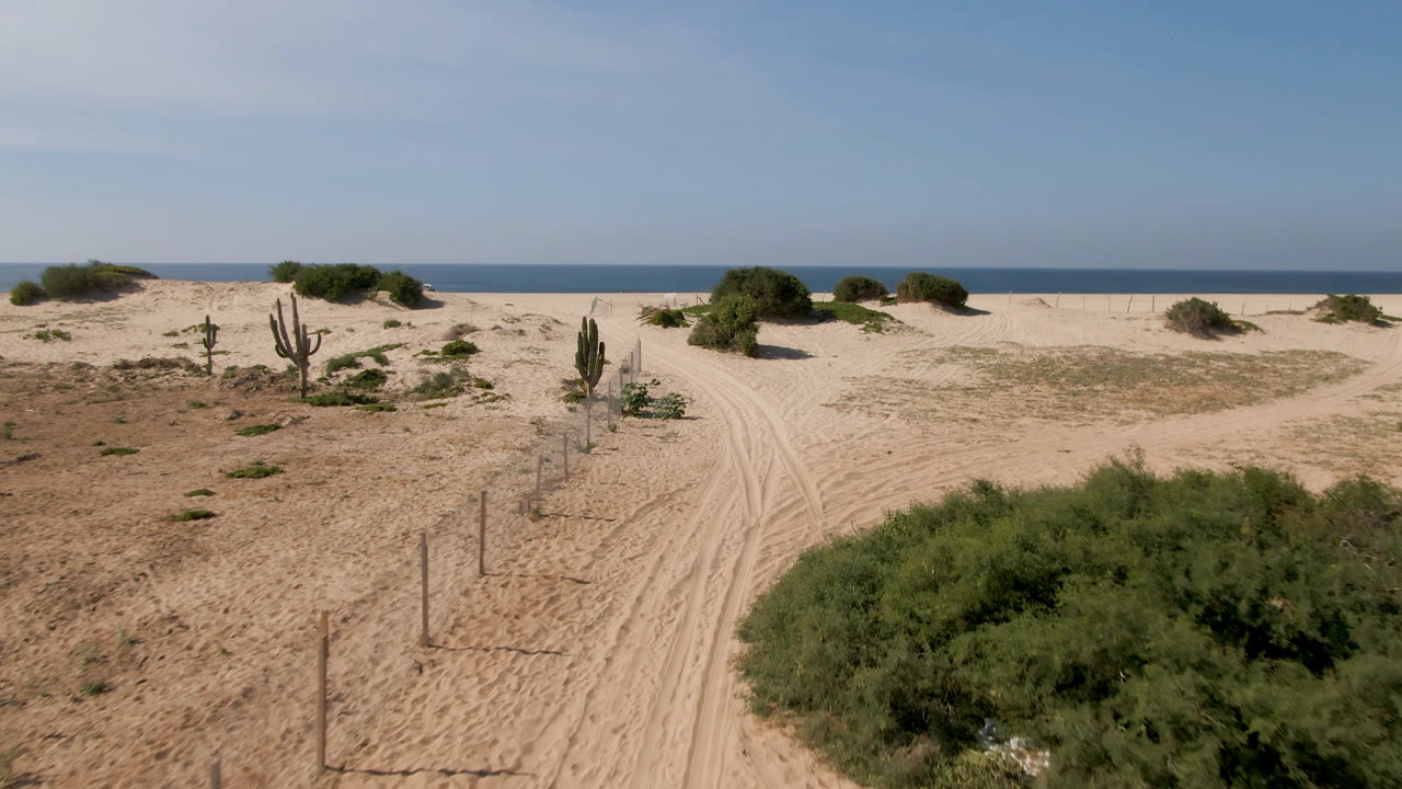 Elevated view in Migrino, Baja California Sur, showing sandy tire tracks, low desert bushes, cactus-like plants, and a blue ocean horizon with no visible people.