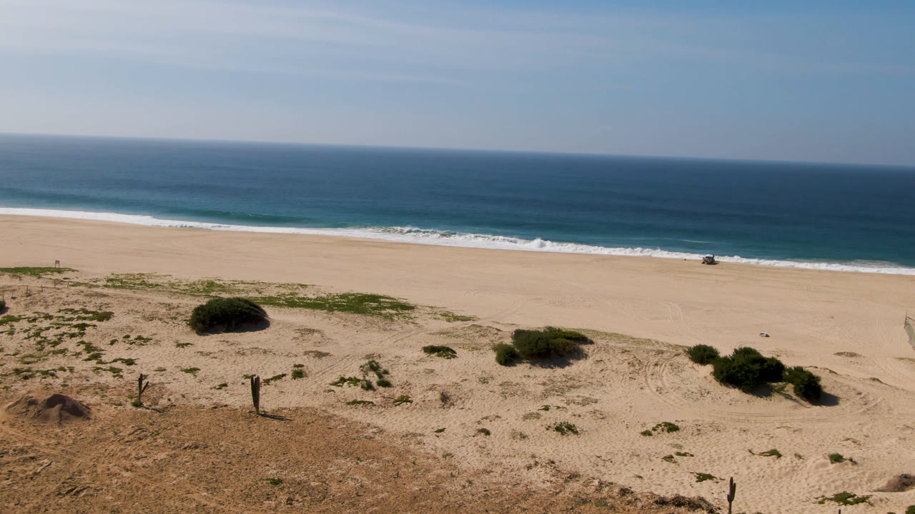 Elevated view of sandy beach, scrub, ocean, and horizon.