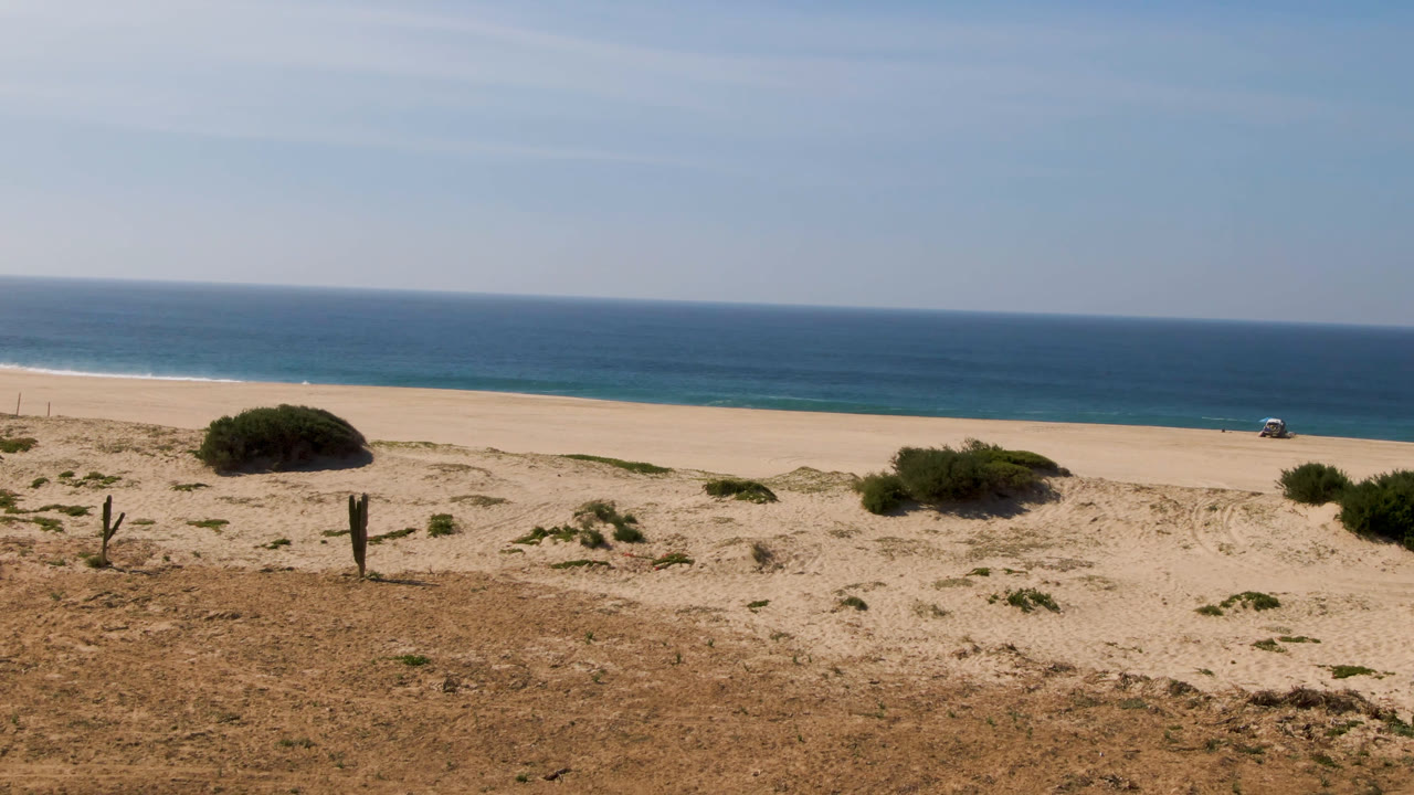 Second frame in Migrino shows a rounded shrub near the dune line, sparse desert plants across the sand, blue ocean bands, and no visible people.