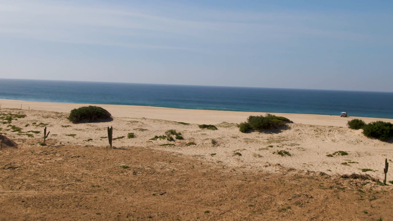 Open sandy terrain with shrubs, beach, and ocean under a clear sky.