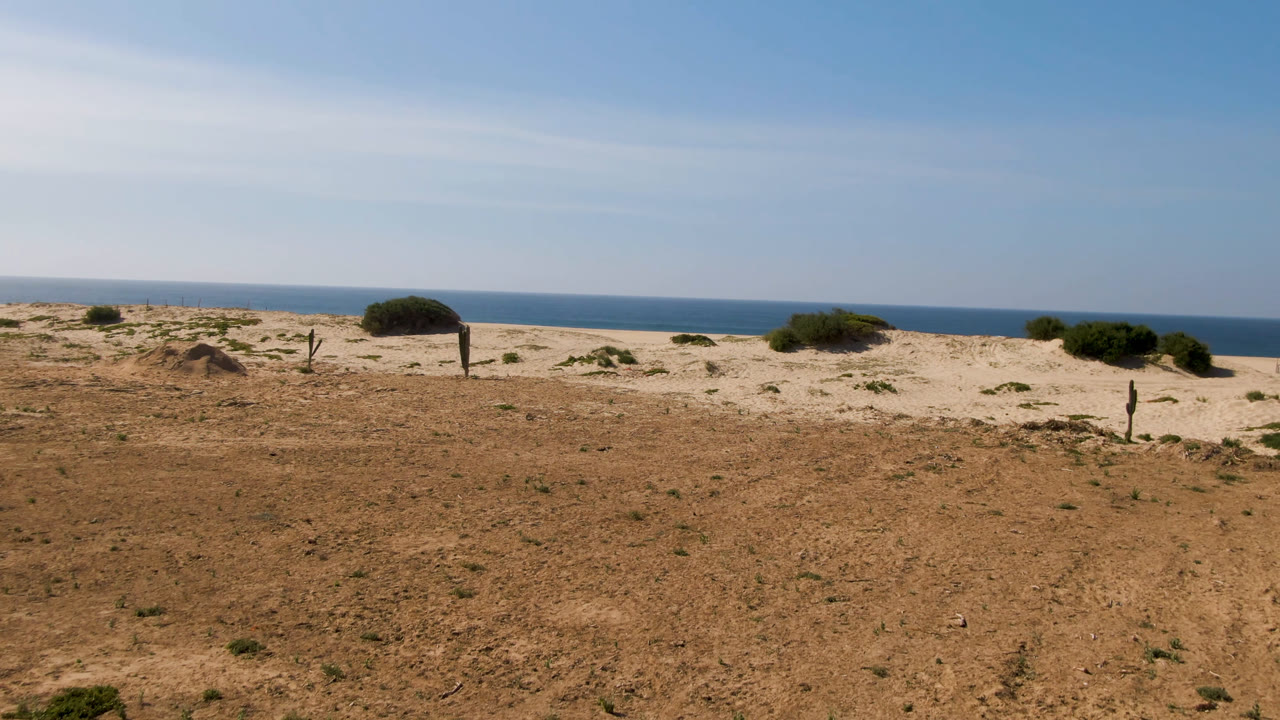 Wide view of Migrino, Baja California Sur with barren sandy ground, sparse shrubs, a lone tree near pale dunes, distant ocean, and no visible people.