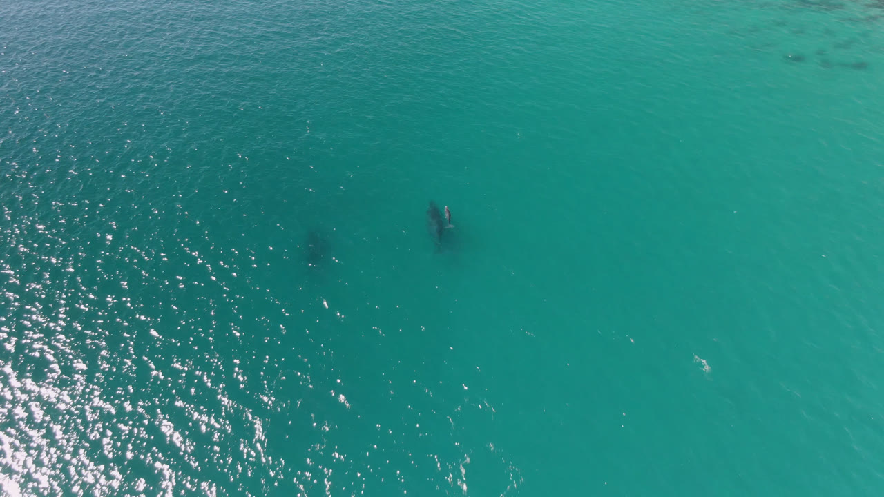 Overhead view of turquoise water at Laguna Beach Los Cabos with two small people and a surfboard near the left side of the frame.