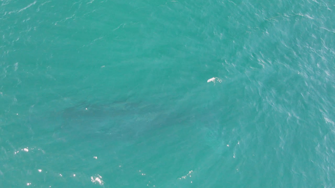 Overhead view of turquoise ocean water at Laguna Beach Los Cabos, Baja California Sur, Mexico, with soft ripples and no visible people.