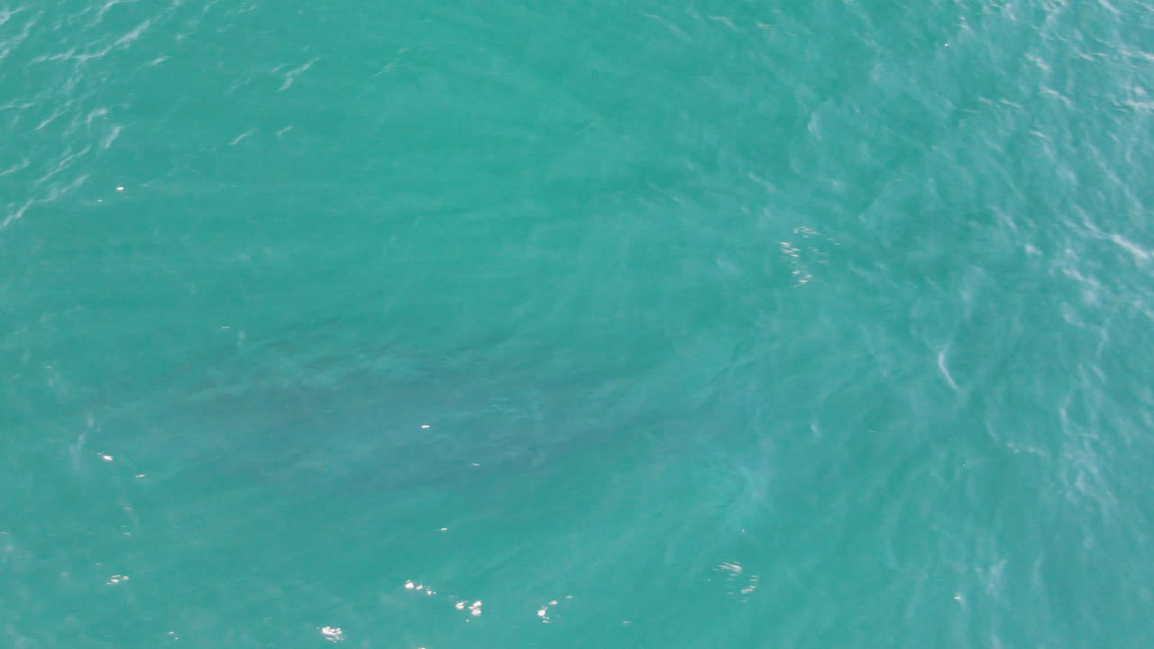 Aerial frame of teal ocean water in Laguna Beach Los Cabos with faint diagonal wave streaks and no visible people or shoreline.