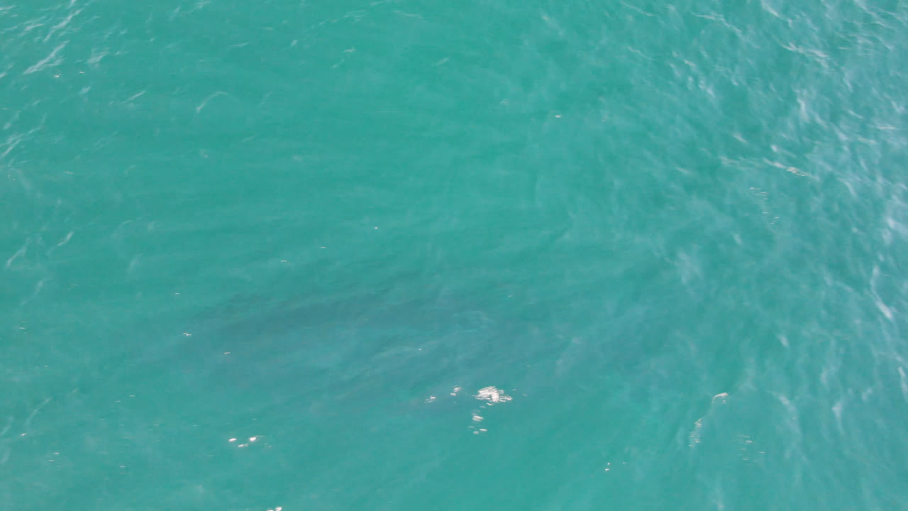 Open turquoise water with scattered highlights
