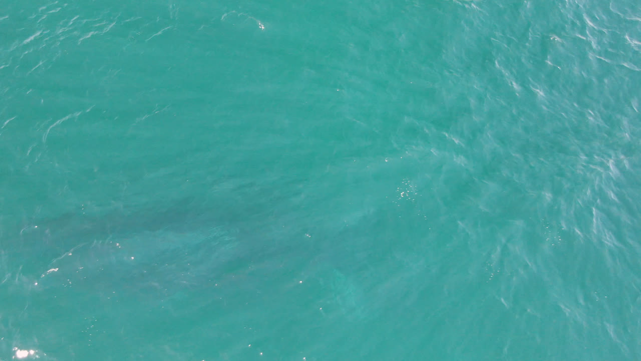 Overhead view of turquoise water at Laguna Beach Los Cabos, Baja California Sur, Mexico, with faint ripples near the top of the frame and no visible people.
