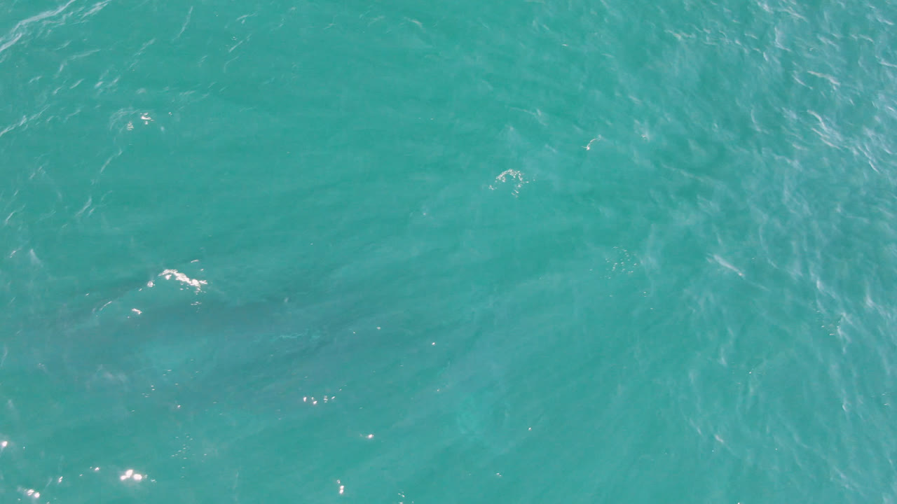 Overhead frame of blue-green ocean at Laguna Beach Los Cabos with pale wave streaks crossing the water and no visible people or surfboard.