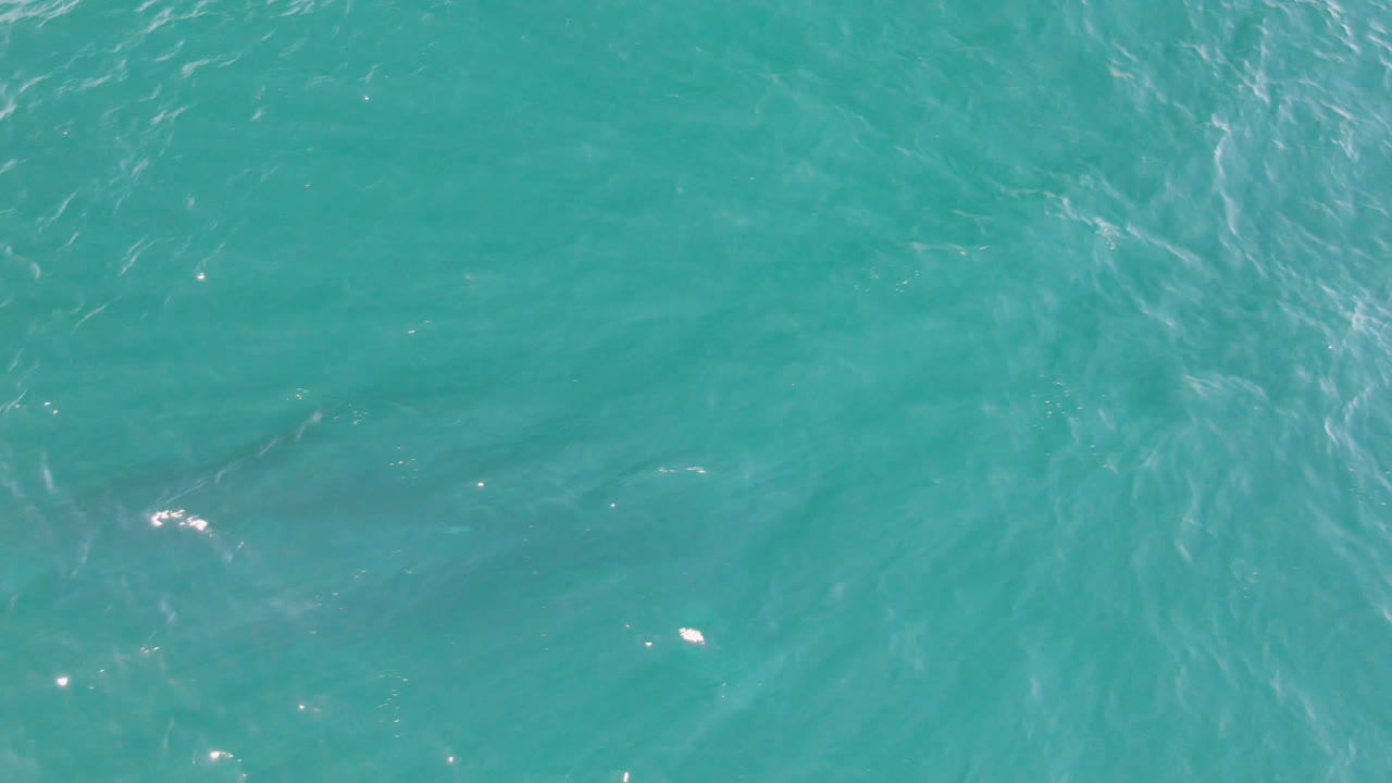 Turquoise ocean texture with darker patches beneath the surface.