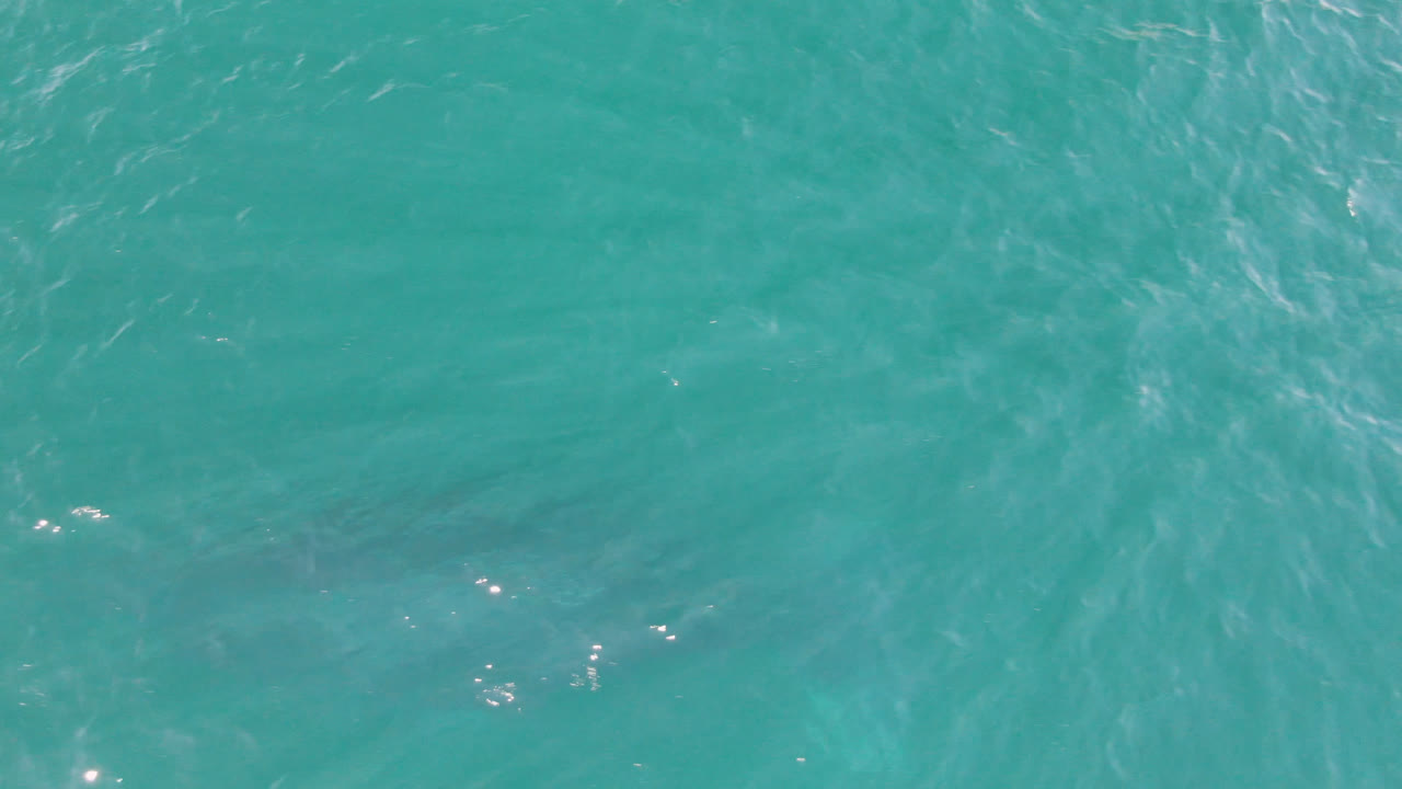 Overhead view of turquoise water in San Jose Del Cabo, Mexico, with light ripples, small sun glints, a faint darker shape below the surface, and no visible people.