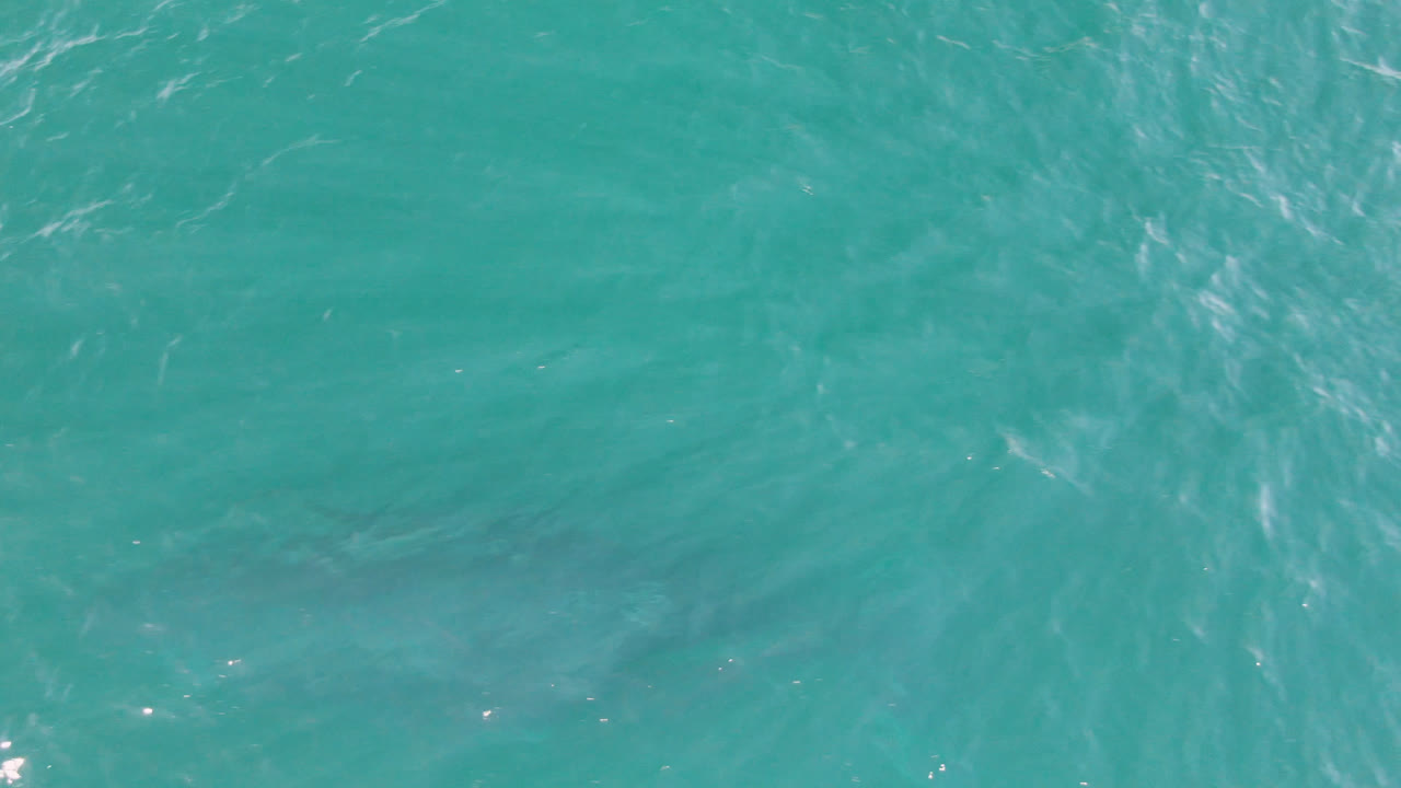 Aerial frame of blue-green ocean water in San Jose Del Cabo, Mexico, with brighter streaks of surface ripple near the top and no visible people or boats.