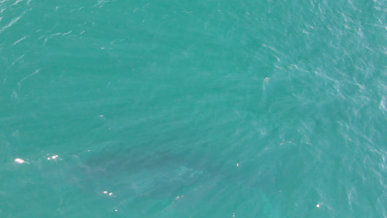 Open turquoise water with small white sun reflections.