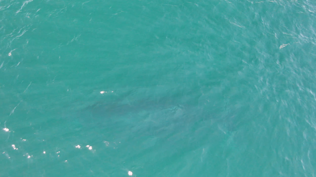 Overhead turquoise ocean water in San Jose Del Cabo, Mexico, with fine ripples, faint submerged shadows, and no visible people at the start of the clip.