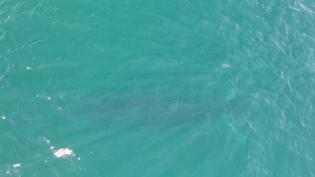 Close overhead view of San Jose Del Cabo ocean water with broad darker patches below the surface, light ripples, and no visible people.