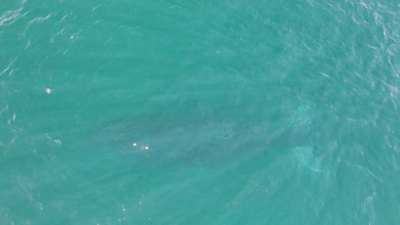 Turquoise water with small white reflections and wavering surface lines.