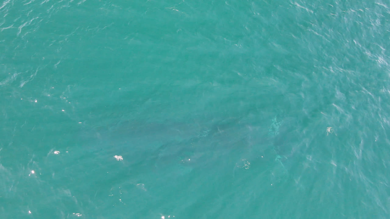 Straight-down aerial view of turquoise ocean in San Jose Del Cabo, Mexico, with small sun glints, soft ripples, faint darker underwater shapes, and no visible people.