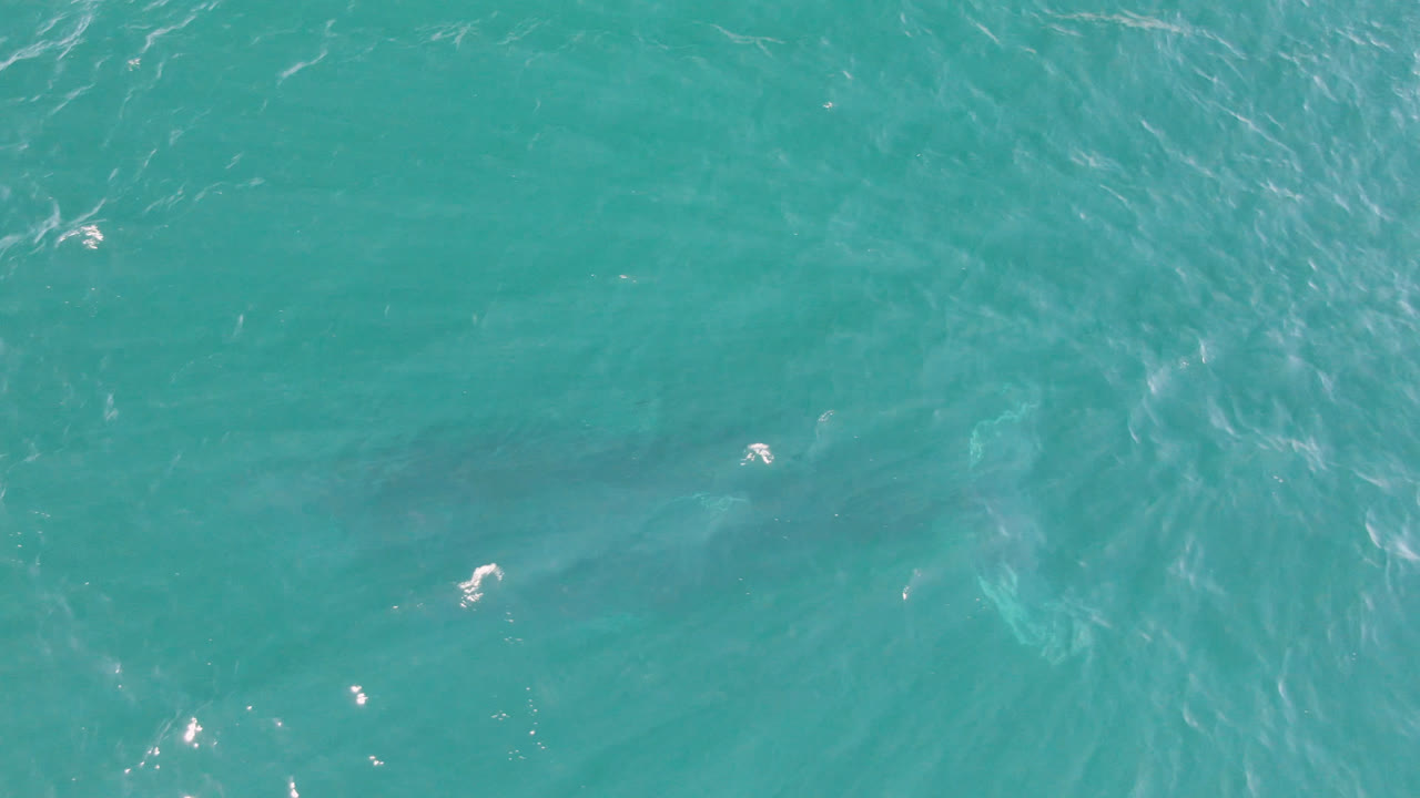 Aerial frame over San Jose Del Cabo ocean water with brighter scattered highlights, teal ripples, a muted shadow below the surface, and no visible people.