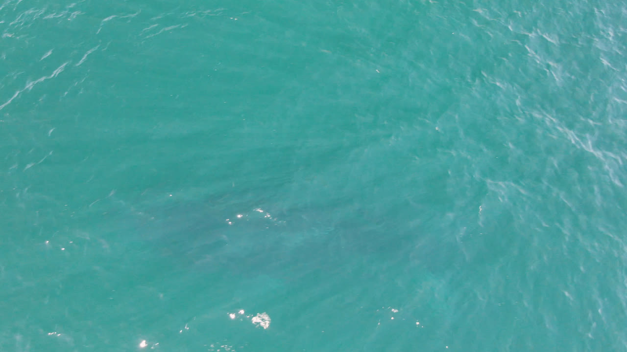 Overhead view of turquoise ocean near San Jose Del Cabo, Mexico, with soft ripples, scattered highlights, faint underwater shadow detail, and no visible people.