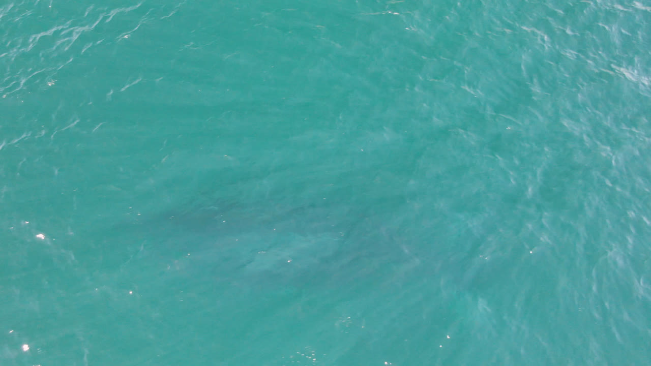 Aerial frame of open water near San Jose Del Cabo, Mexico, showing brighter ripple streaks, small points of reflected light, and no visible people.