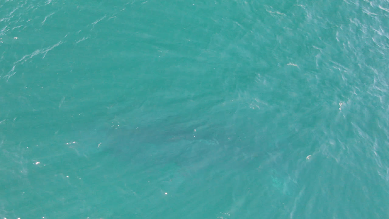 Turquoise ocean surface with faint darker patches below the ripples.