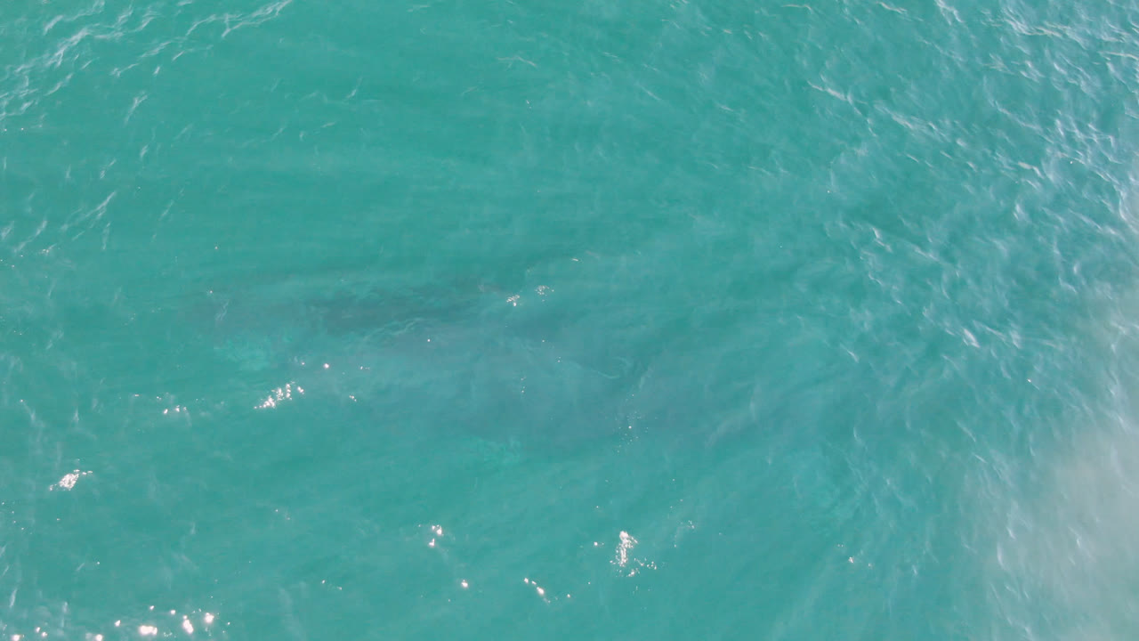 Top-down view of turquoise water at Laguna Beach Los Cabos with soft white ripples, faint darker underwater forms, and no visible people.
