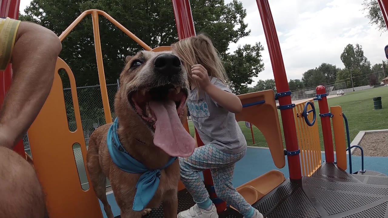 A wide-angle close view shows the dog panting near the lens as the child turns her body on the orange playground structure, with park grass and trees beyond.