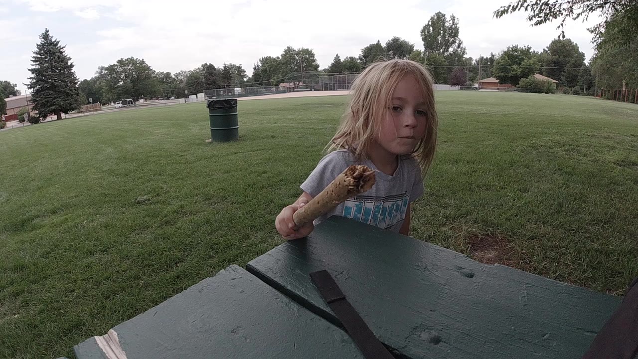 A blonde child in Colorado stands beside a green picnic table while holding a wooden stick, with lawn, trees, and a trash can behind her.