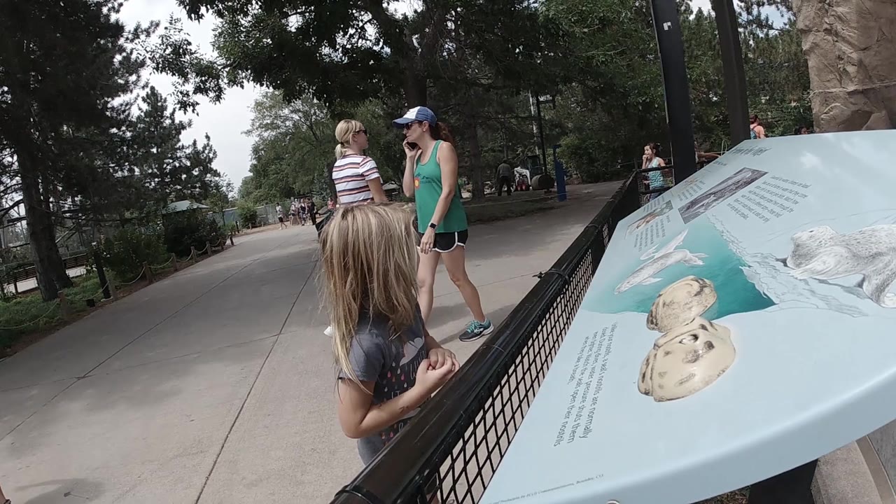 The blue sign with shell and animal illustrations fills the right foreground as the girl and women stand on the tree-lined path.