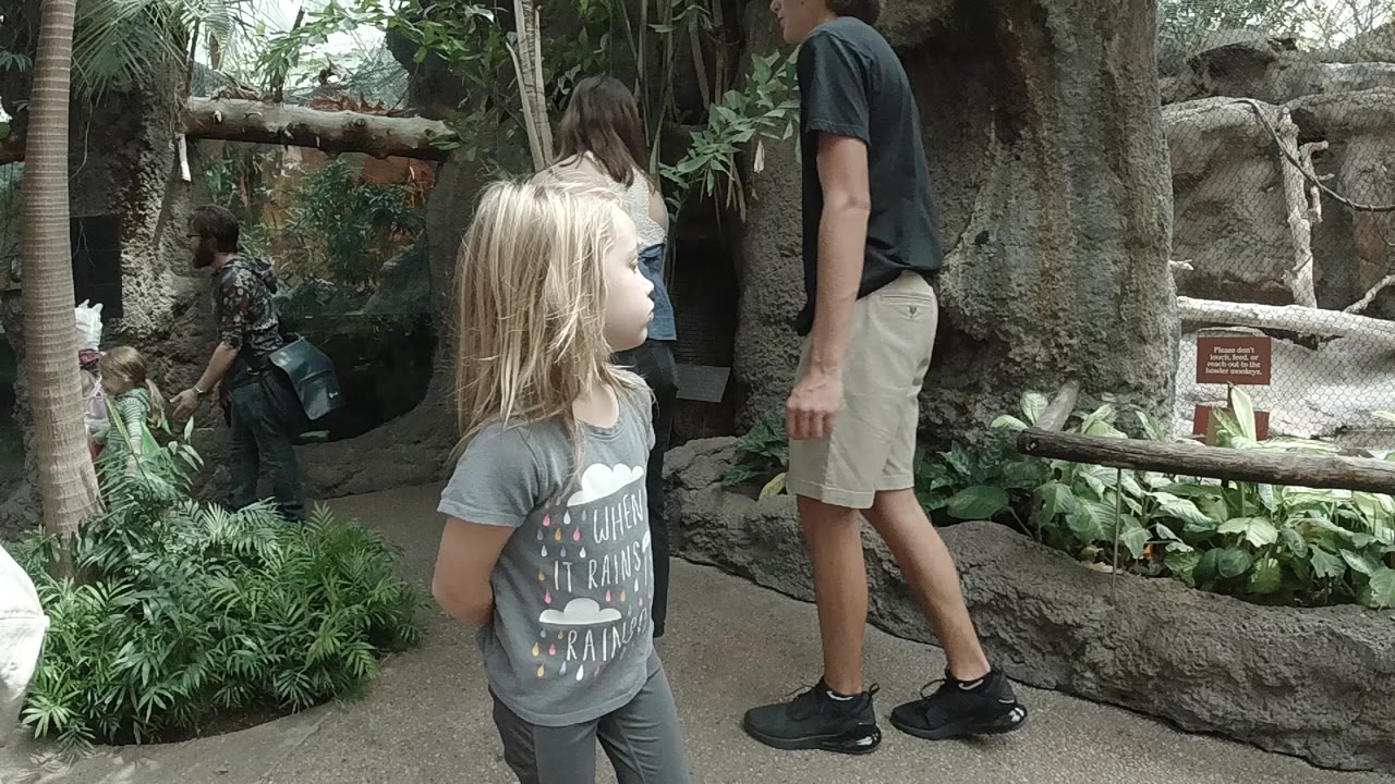In Colorado, a blonde young girl stands near a paved zoo path while adults and children move beside a rock-and-tree animal enclosure.
