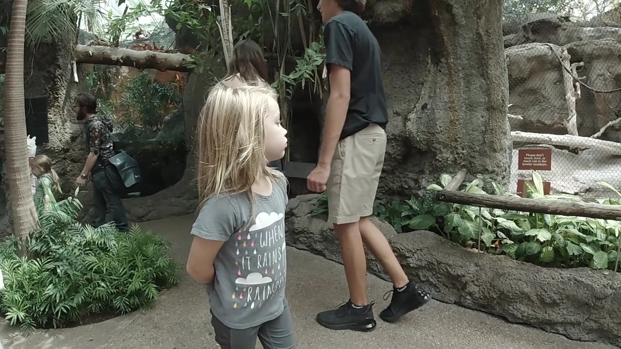 A blonde child in profile watches the zoo habitat as a standing adult and distant visitors occupy the path beside rocks, plants, and fencing.