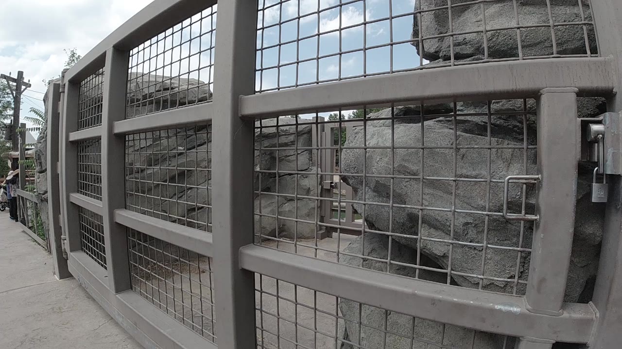 One second in, the fence mesh and gate hardware sit close to camera, with the paved walkway extending along the left side in Colorado and no clearly visible people.