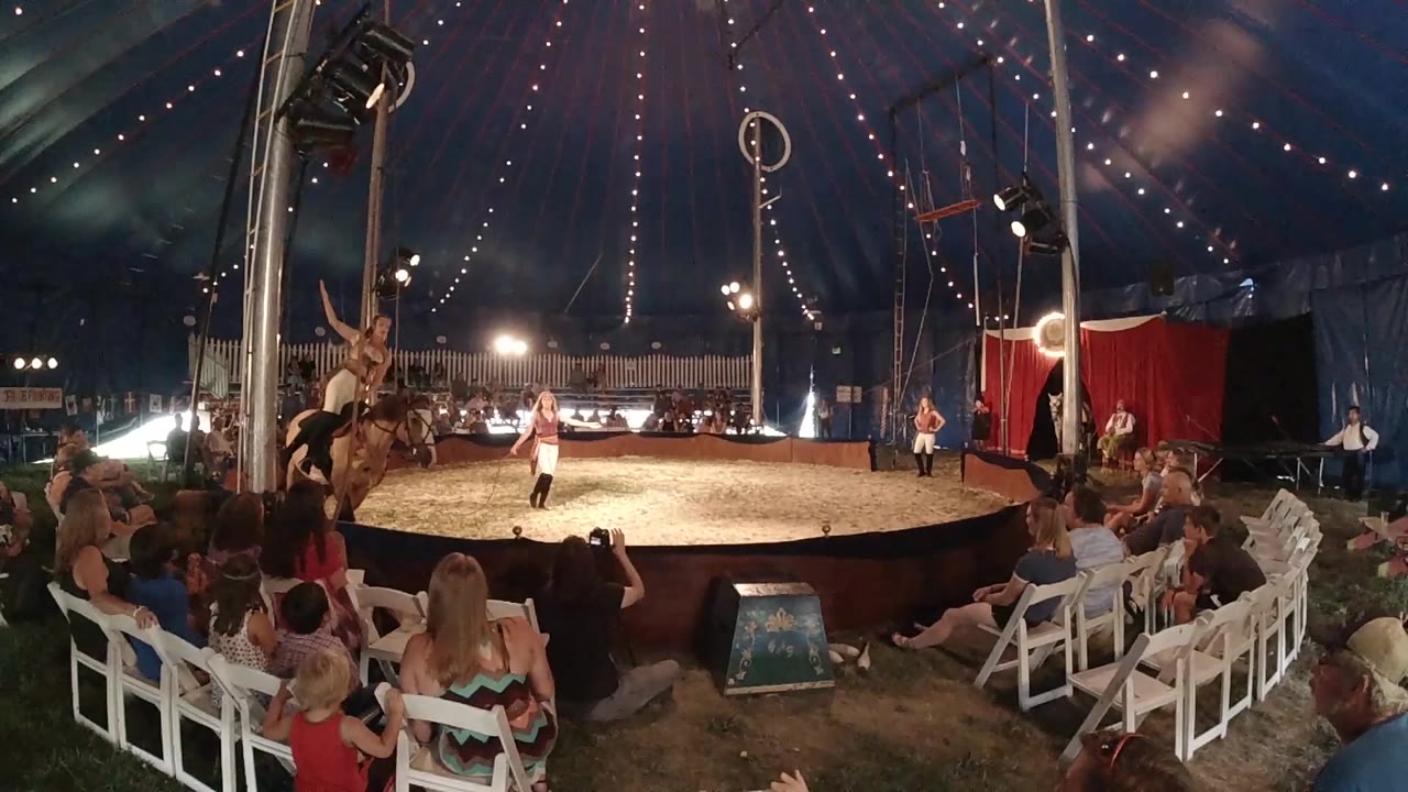 Horse and rider moving beside seated circus audience