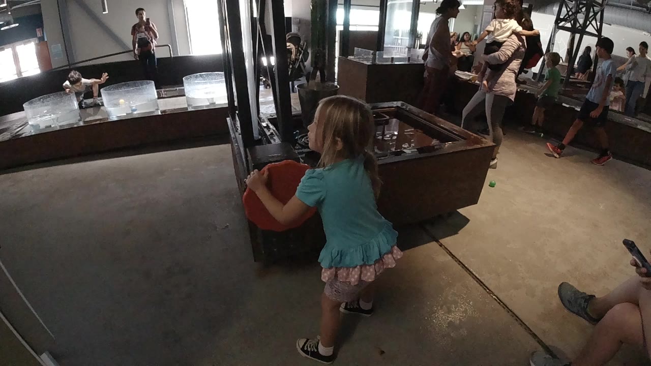 At 0:00, a blonde toddler in a turquoise shirt stands with a red object near dark wood furniture in an indoor Colorado setting, with visitors visible in the background.