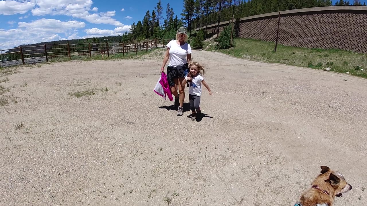 The family remains in the midground on a sunny Colorado road, with open dirt foreground, a fence line, pine trees, and a cropped dog at the bottom edge.