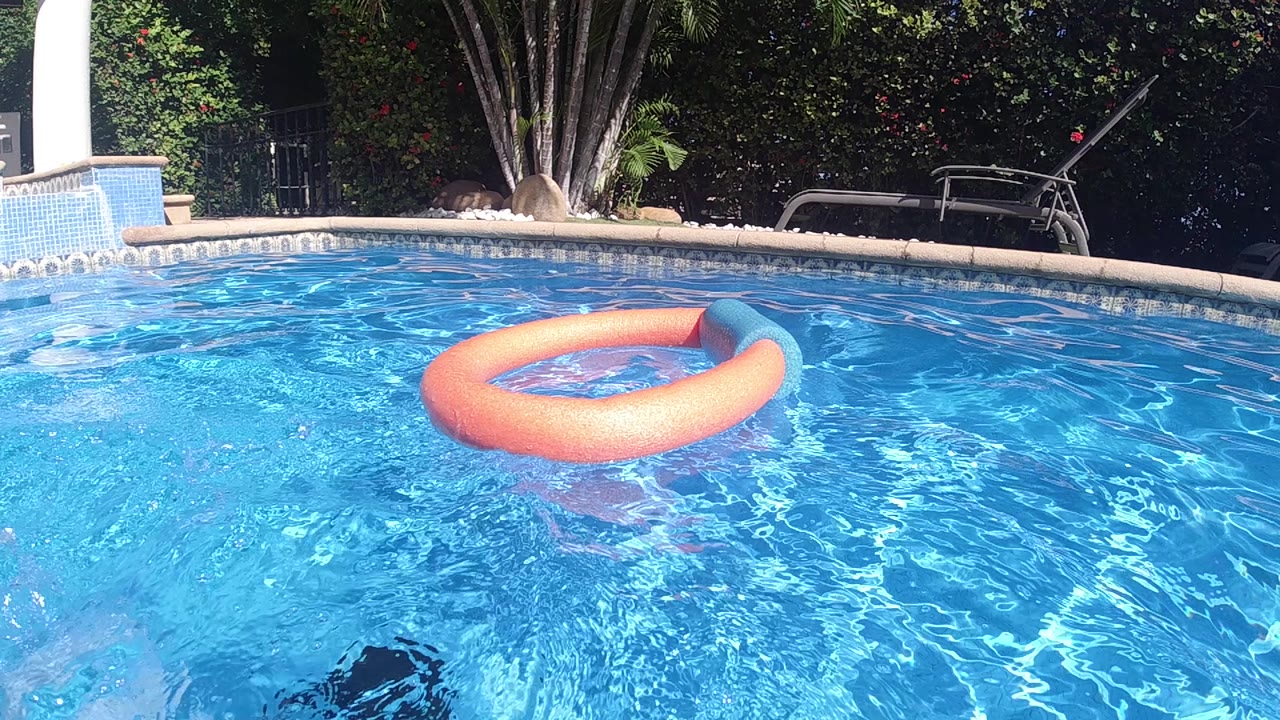 Orange inflatable pool ring floating on rippled blue water in Cabo, Baja California Sur; pool edge and tropical foliage visible at the top of the frame; no visible people.