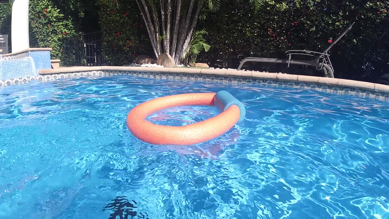 Orange pool ring float on sunlit blue pool water in Cabo, Baja California Sur; pool coping and dense tropical vegetation frame the background; no visible people.