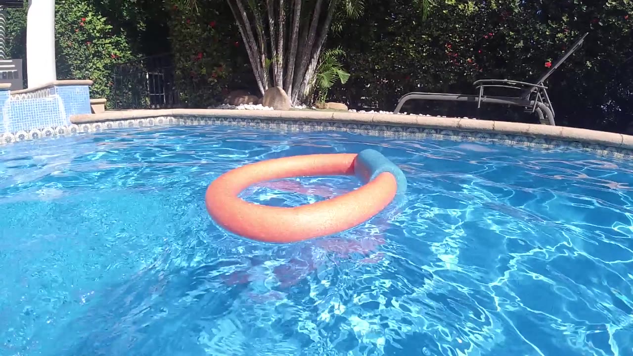 Orange pool float ring on blue water with poolside vegetation visible at top