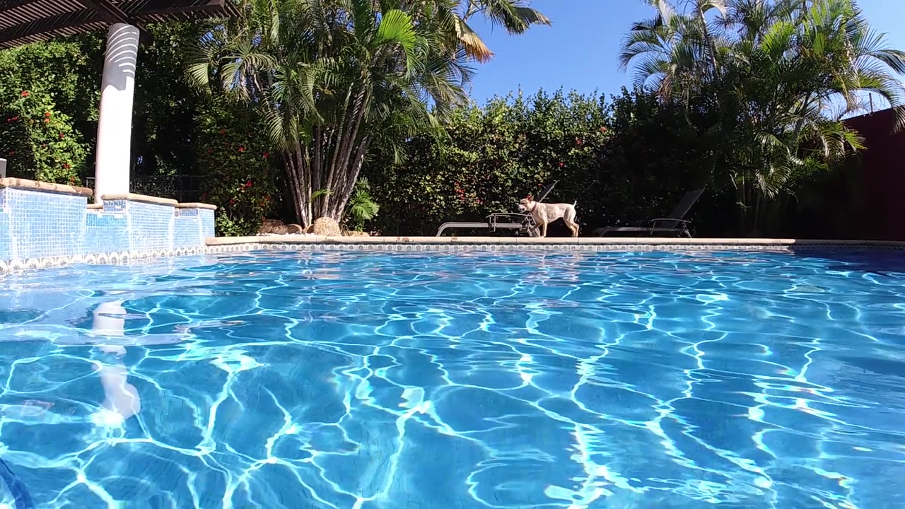 Low-angle pool shot at a Cabo, Baja California Sur property at two seconds; bright blue water with active sunlit caustic patterns fills the foreground while the white column, lounge chair, and palm trees anchor the background against clear sky; no people visible.
